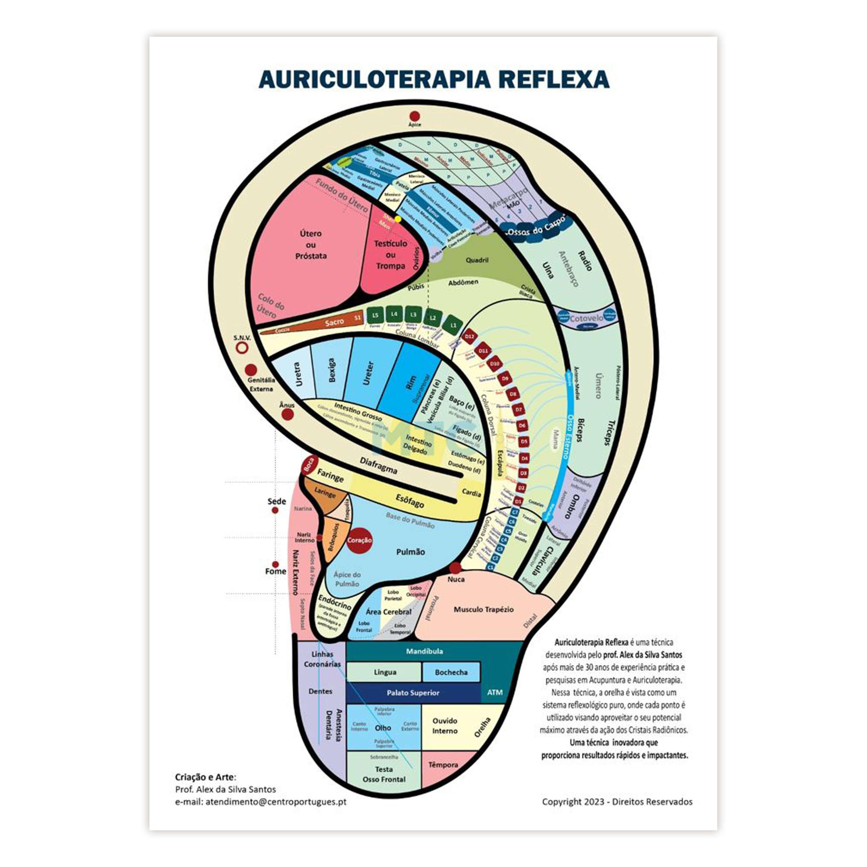 Mapa de Auriculoterapia Reflexa
