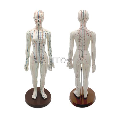 Modelo Feminino Anatômico para Acupuntura - 48cm - BK