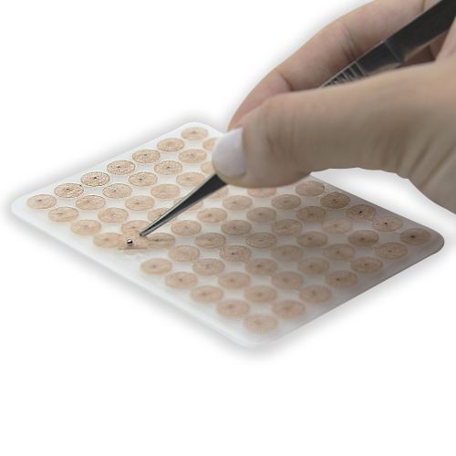 Ponto Inox Para Auriculoterapia - Caixa c/30 - ZhenMed